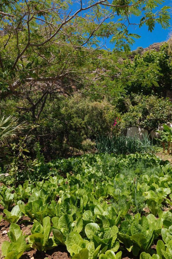 Dionyssos Rooms Preveli Crete Exterior photo