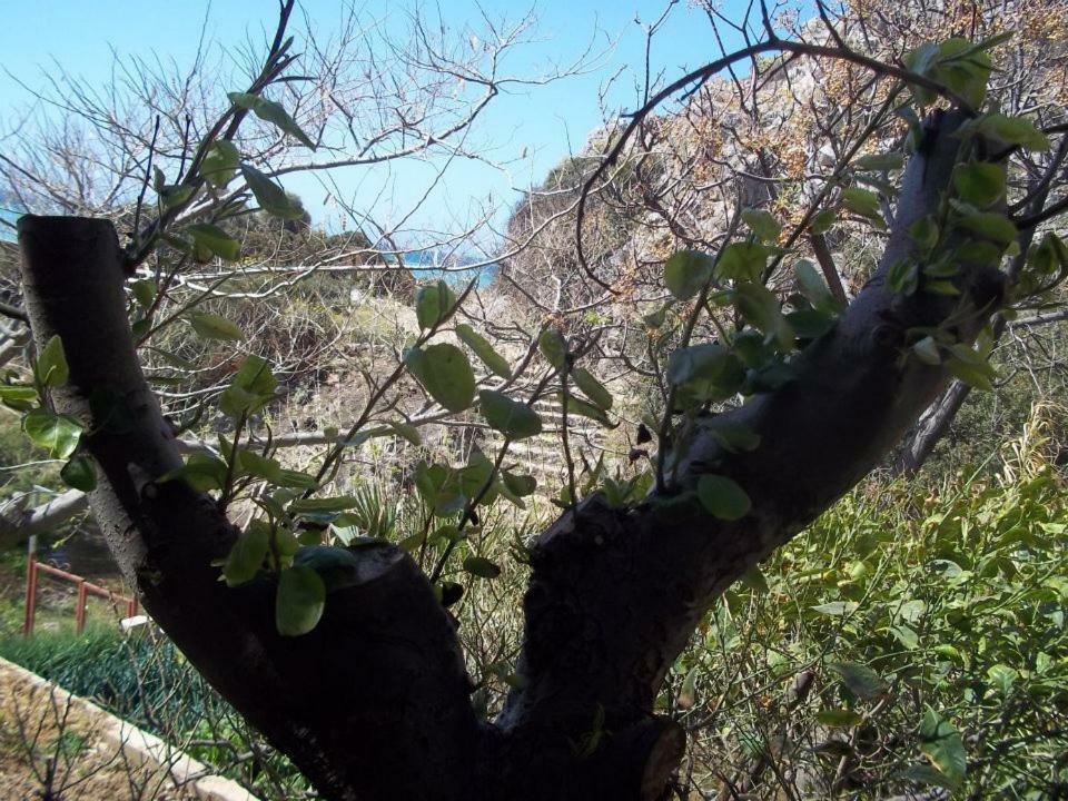 Dionyssos Rooms Preveli Crete Exterior photo