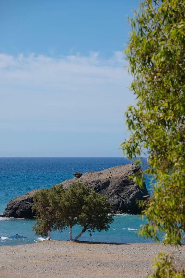 Dionyssos Rooms Preveli Crete Exterior photo